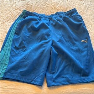 Puma Men's Vibrant Blue Athletic Shorts L Dry-Fit